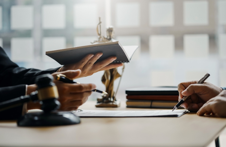lawyer is consulting client